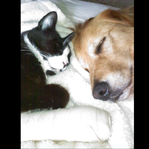 ☮️🐾❤️ Hi! I’m Barb. ❤️🐾☮️ - Picture 2 of 7